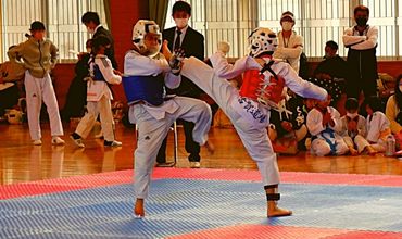 テコンドー選手クラス テコンドー選手クラス